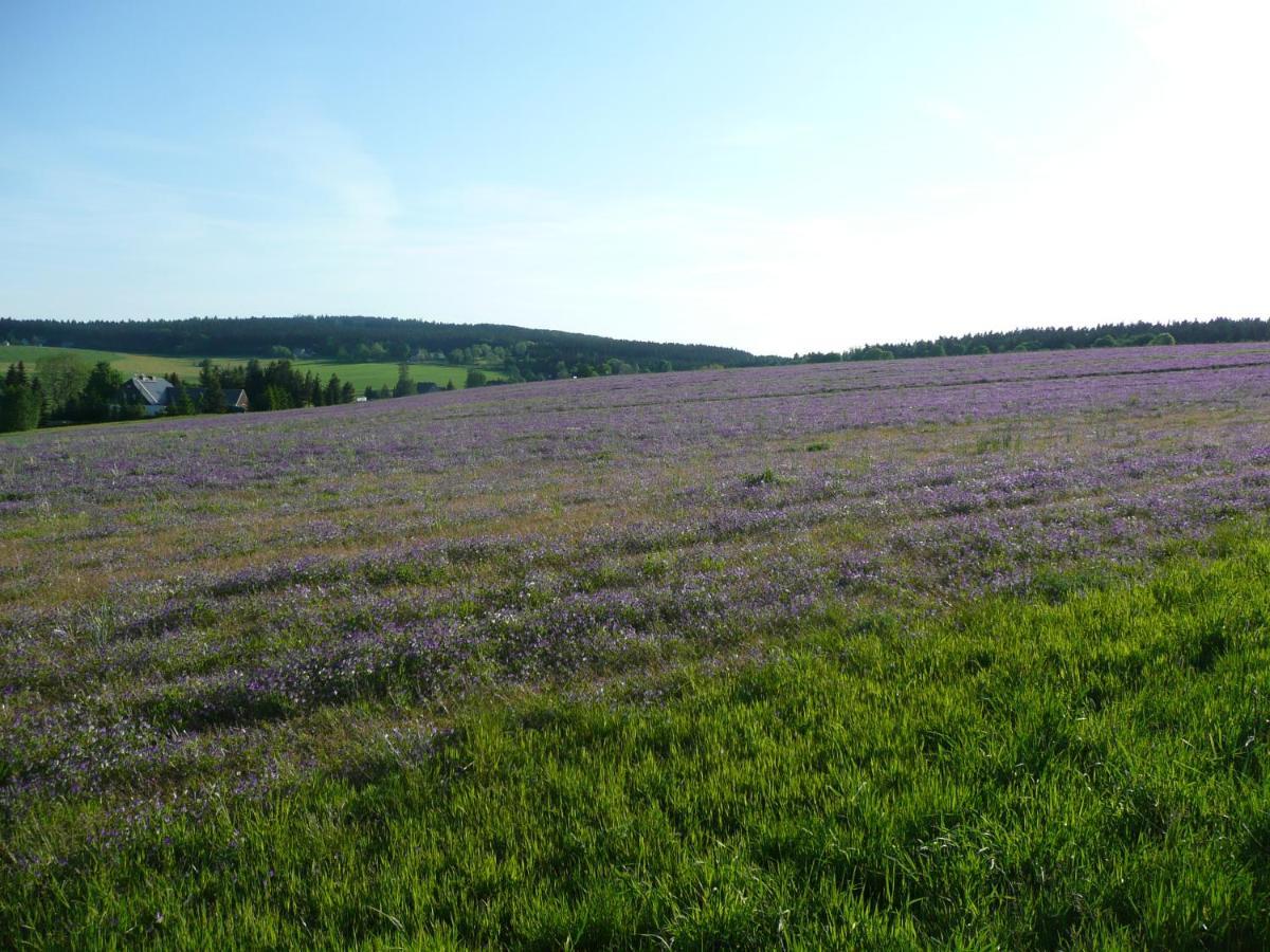 Gasthaus Ruebenau Rubenau Kültér fotó